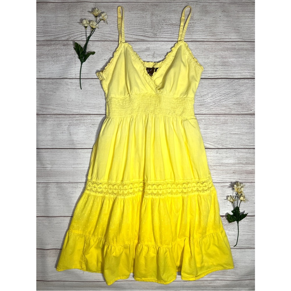 Speed Control Lace Pleated Ombré Dress